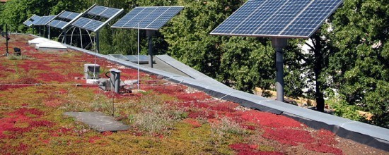 Solaranlage auf dem Gründach der ufaFabrik